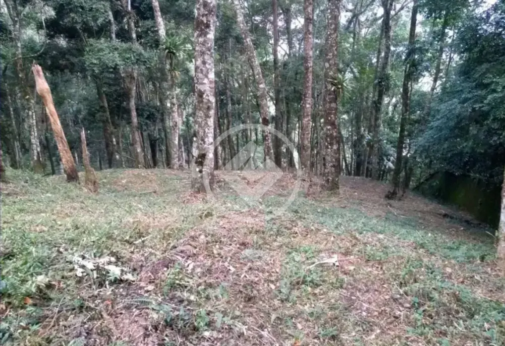Imagem 6 - Terreno em Cascata dos Amores, Teresópolis - RJ