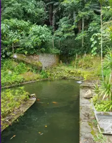 Terreno Cascata dos Amores, Teresópolis - RJ — foto 2