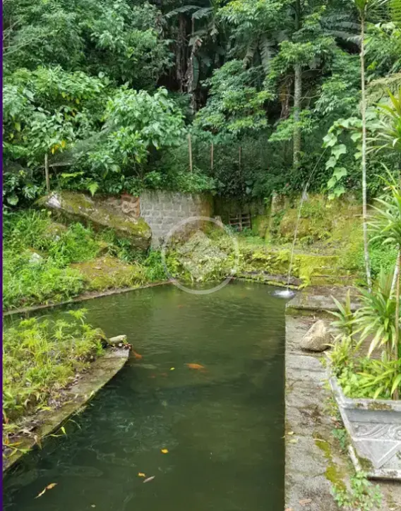 Imagem 1 - Terreno em Cascata dos Amores, Teresópolis - RJ