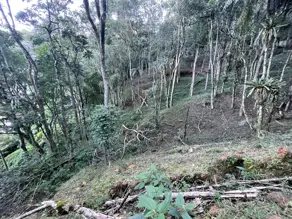 Imagem 3 - Terreno em Cascata dos Amores, Teresópolis - RJ