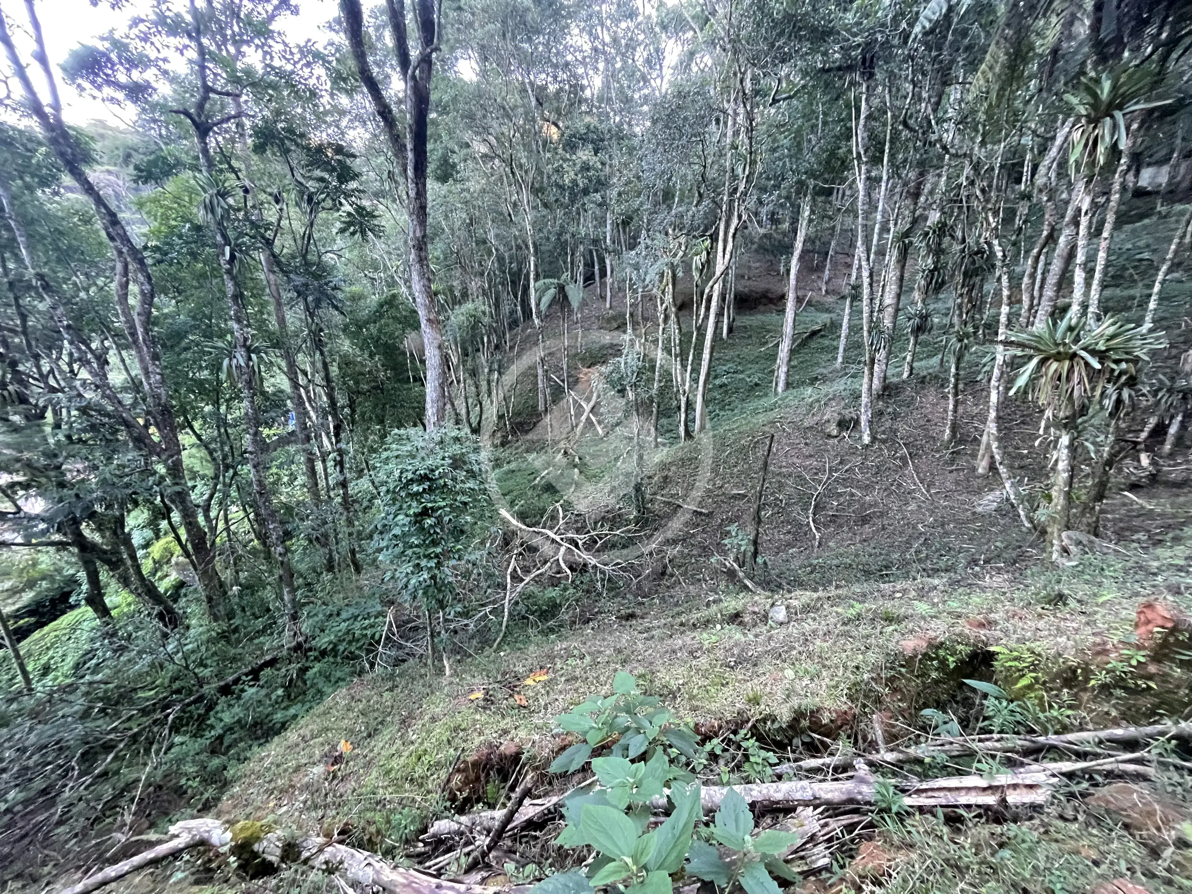 Imagem 3 - Terreno em Cascata dos Amores, Teresópolis - RJ
