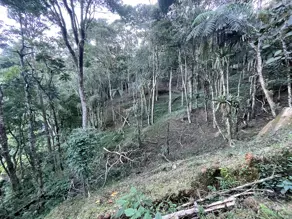 Imagem 4 - Terreno em Cascata dos Amores, Teresópolis - RJ