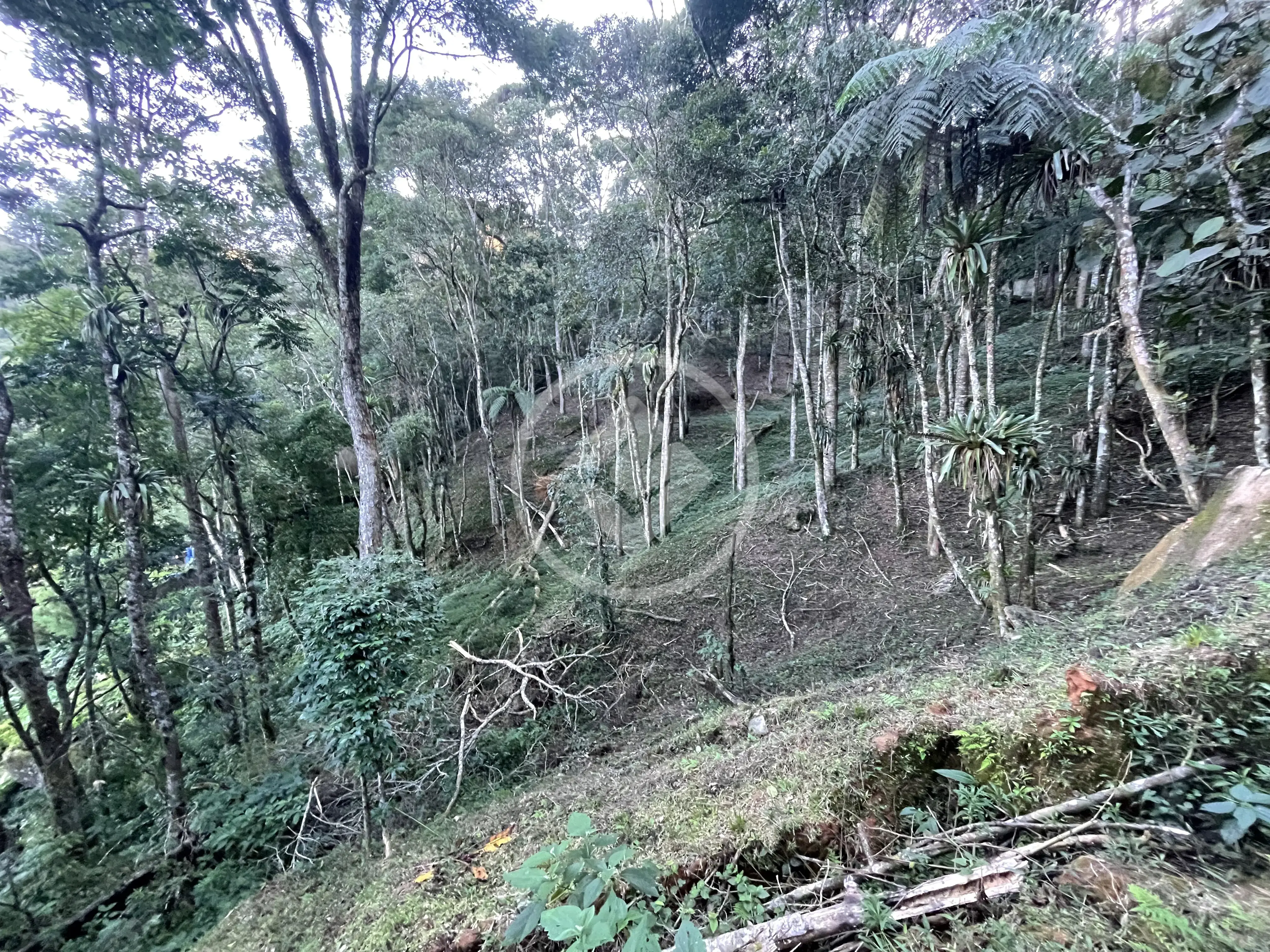 Imagem 4 - Terreno em Cascata dos Amores, Teresópolis - RJ