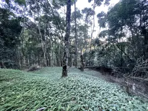 Terreno Cascata dos Amores, Teresópolis - RJ — foto 1