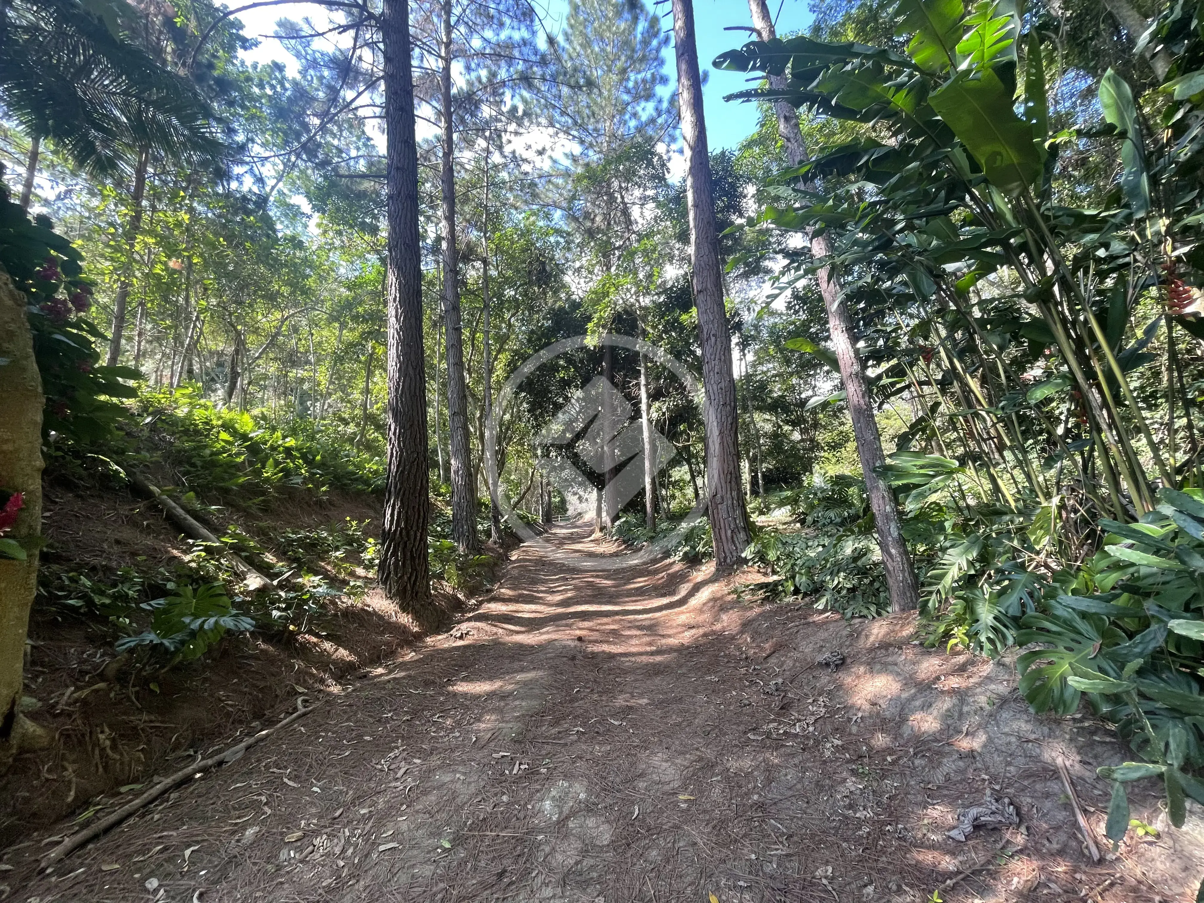 Image 64 - Casa Condomínio em Prata, Teresópolis - RJ