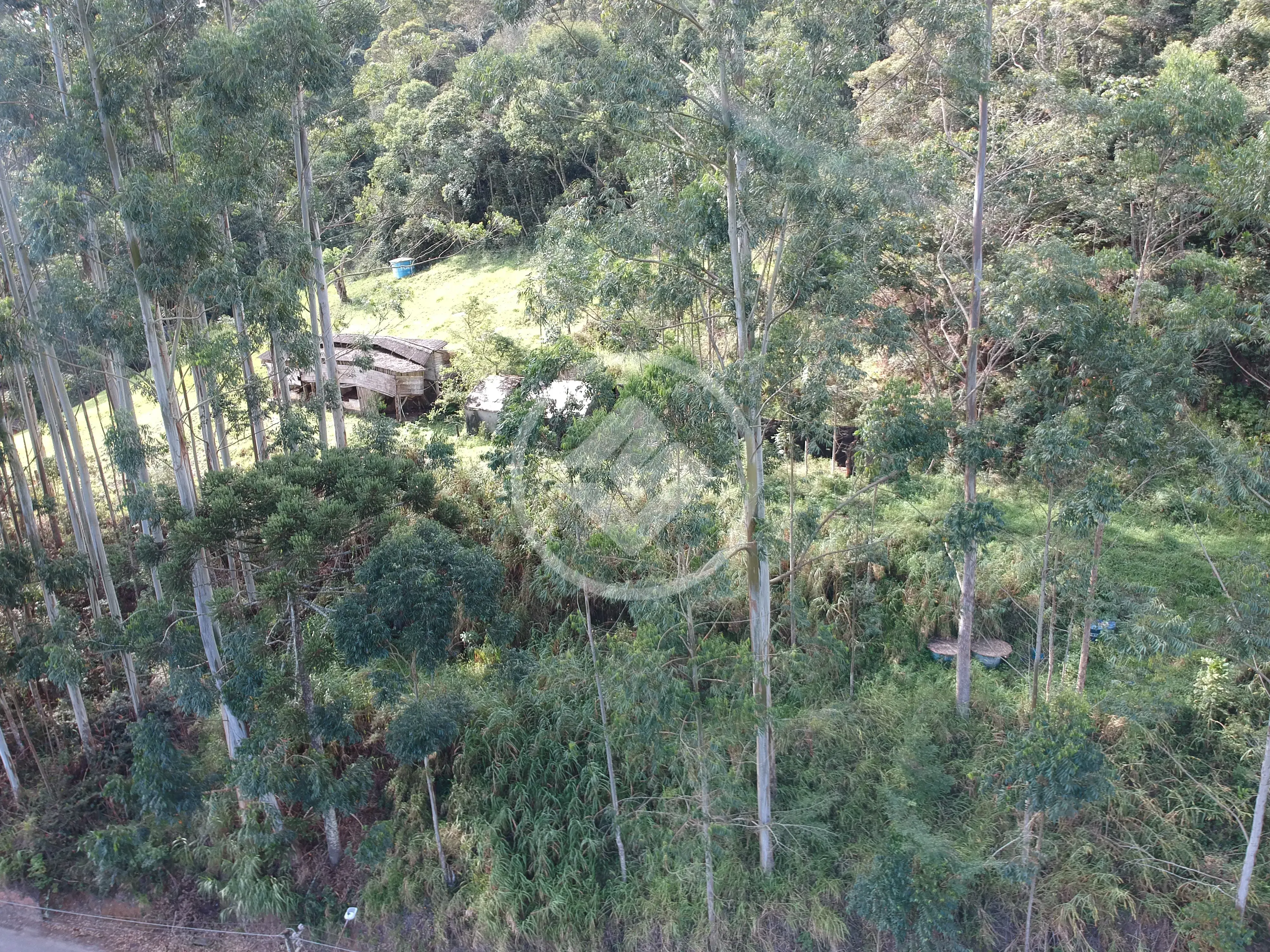 Imagem 2 - Sítio em Vargem Grande, Teresópolis - RJ