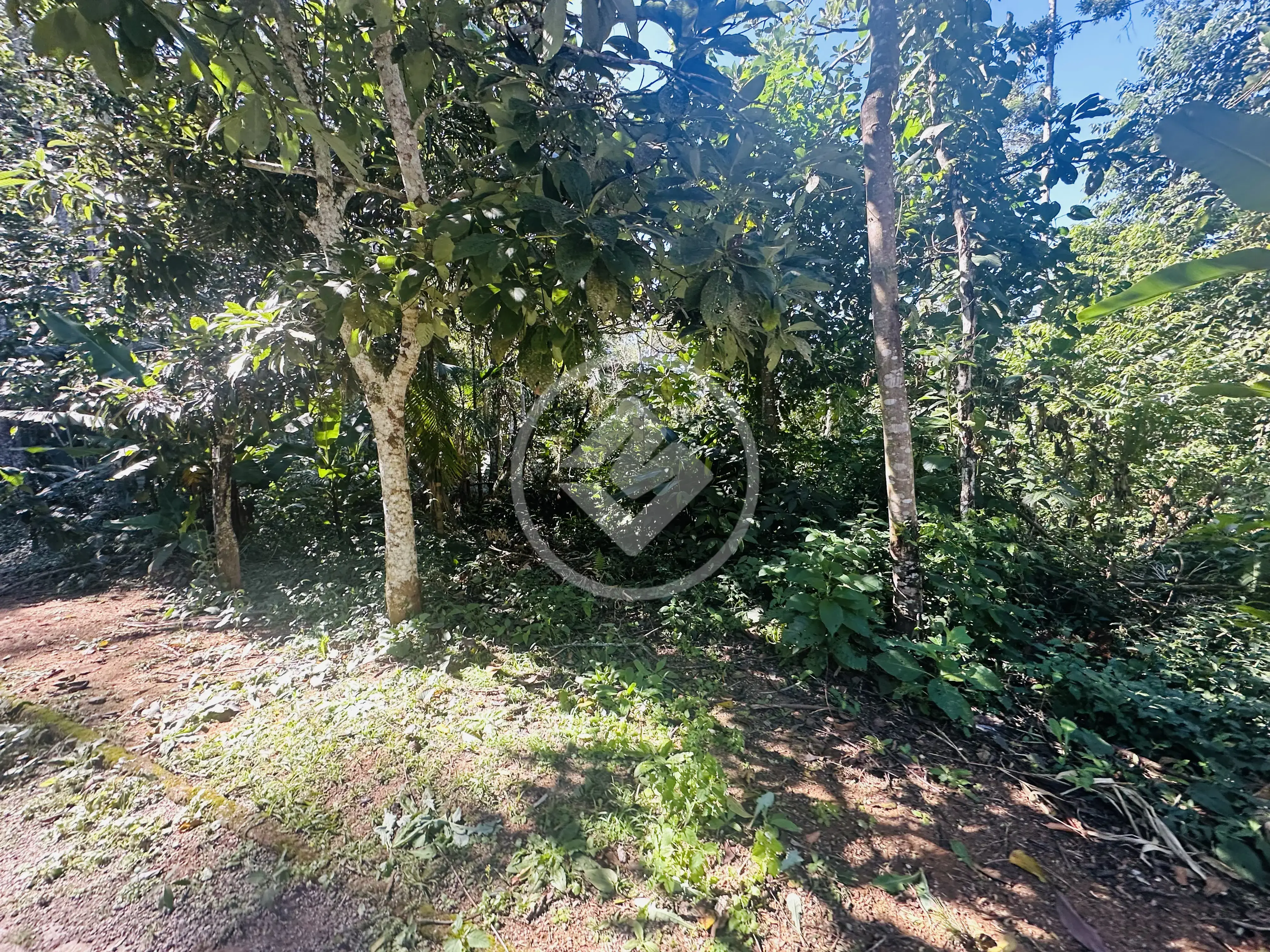 Imagem 5 - Terreno Condomínio em Albuquerque, Teresópolis - RJ