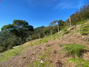 Imagem 4 - Terreno em Posse, Teresópolis - RJ