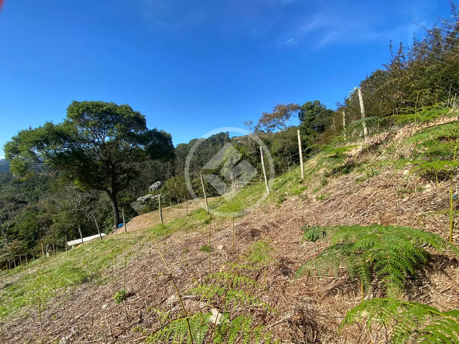 Imagem 4 - Terreno em Posse, Teresópolis - RJ