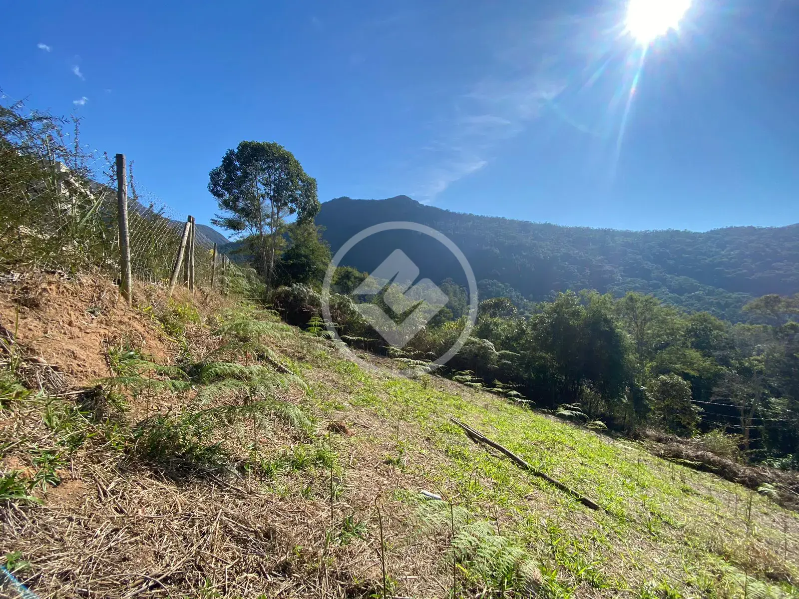 Imagem 5 - Terreno em Posse, Teresópolis - RJ