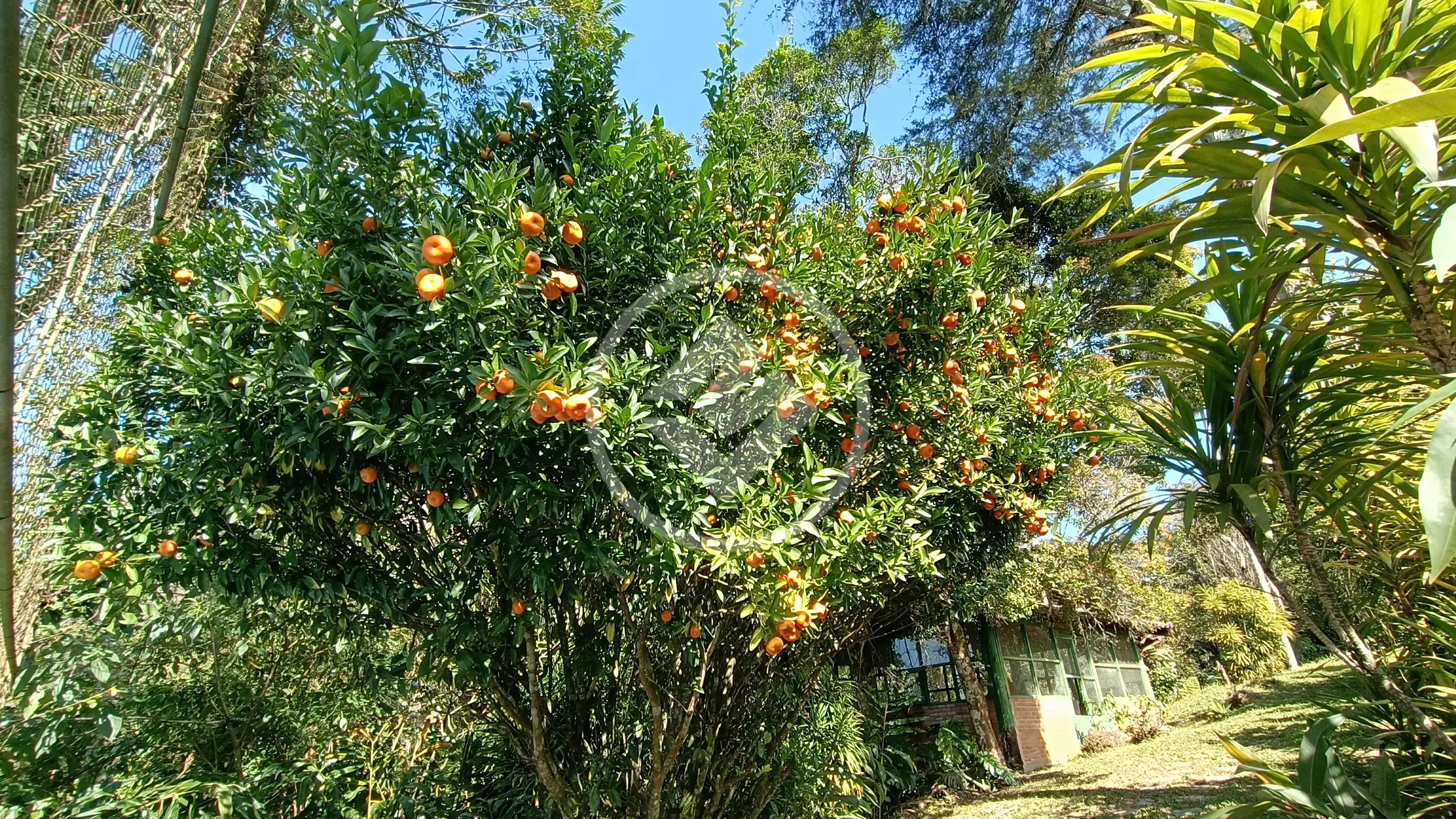 Image 73 - Casa em Granja Guarani, Teresópolis - RJ