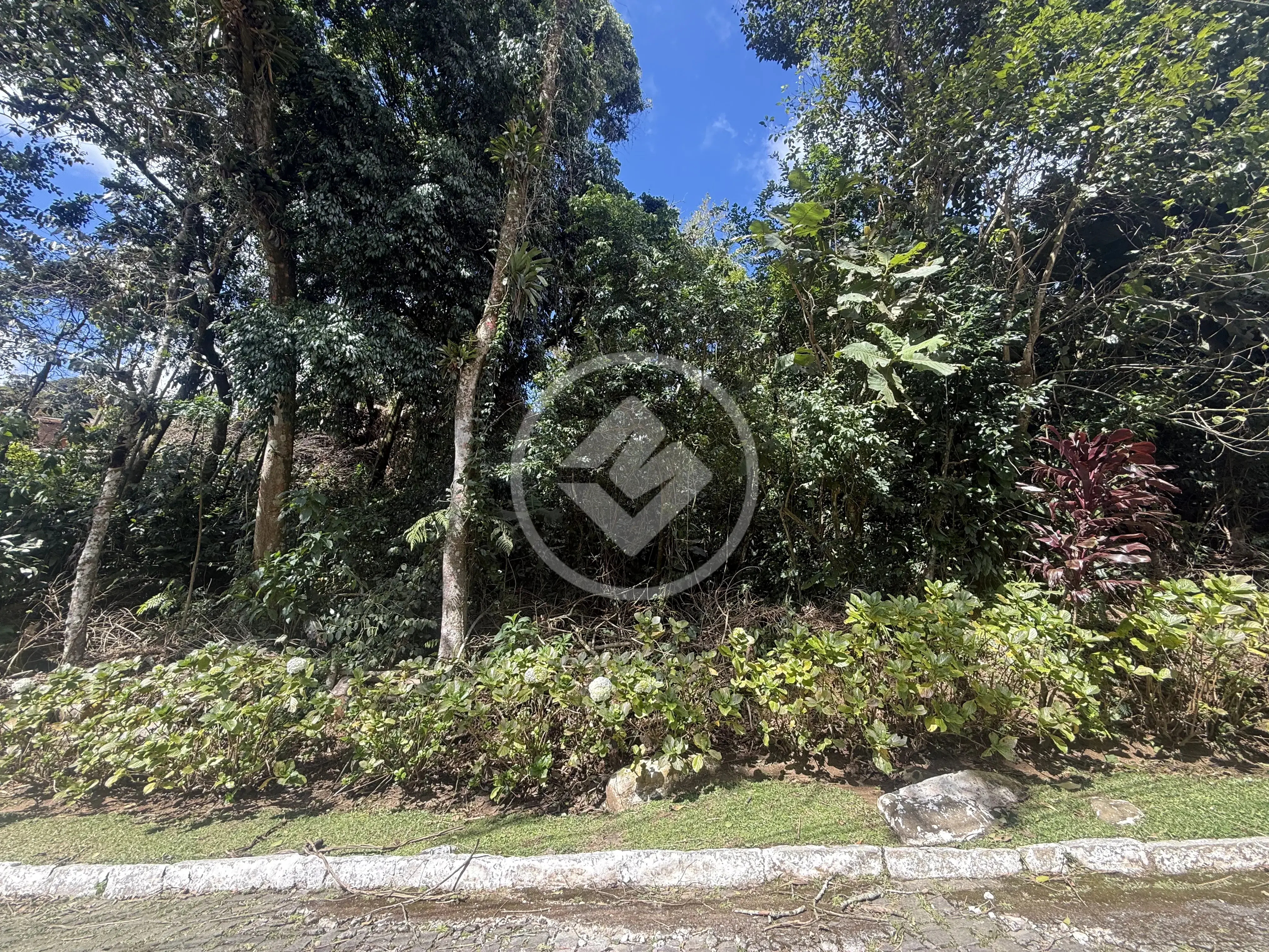 Imagem 1 - Terreno Condomínio em Carlos Guinle, Teresópolis - RJ