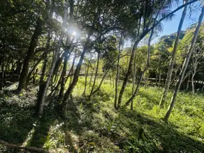 Imagem 2 - Terreno Condomínio em Carlos Guinle, Teresópolis - RJ