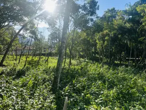 Imagem 5 - Terreno Condomínio em Carlos Guinle, Teresópolis - RJ
