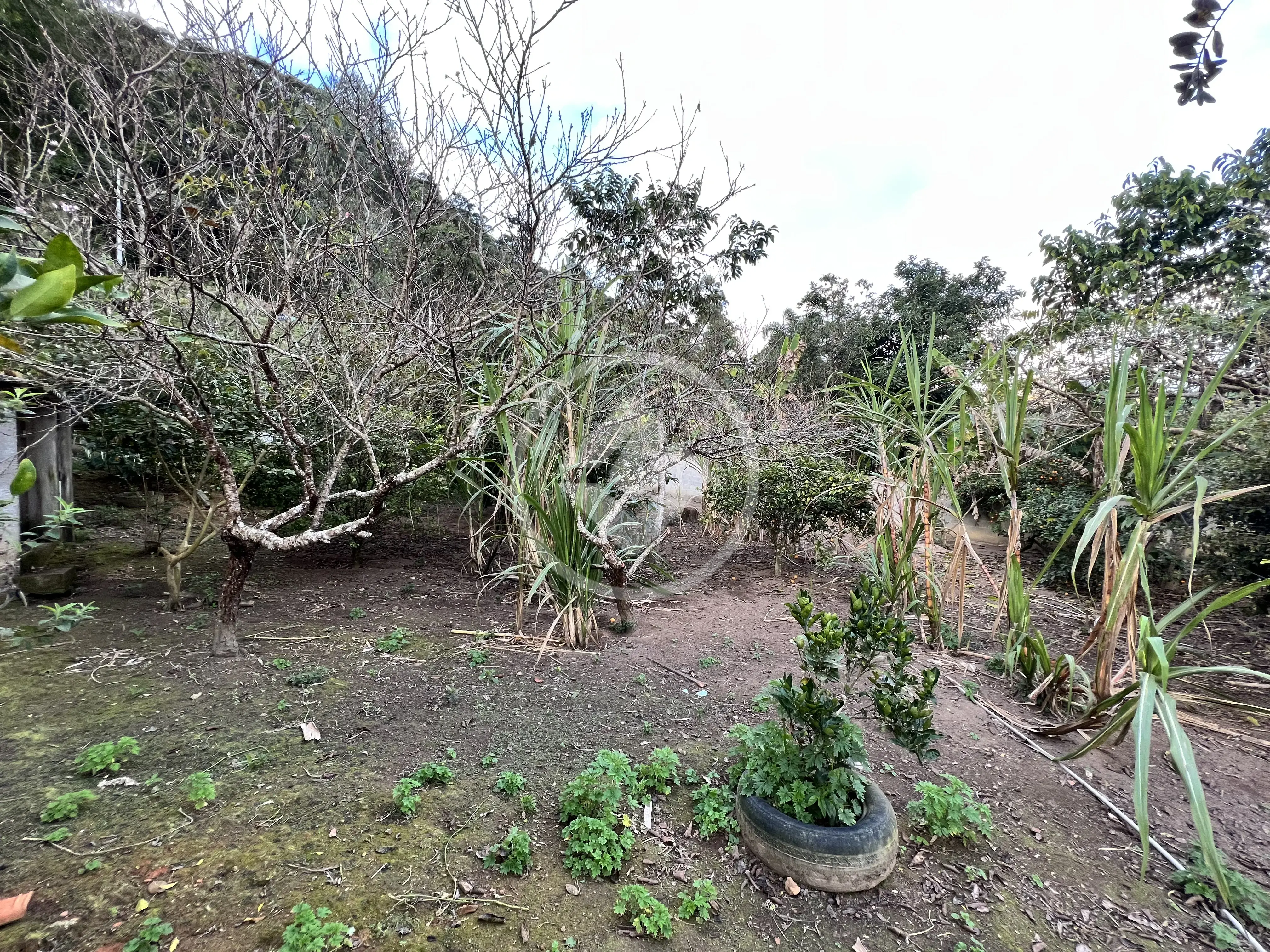 Image 30 - Casa em Pessegueiros, Teresópolis - RJ