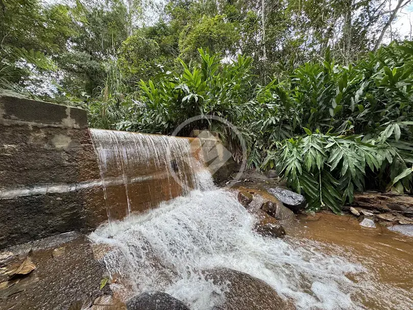 Image 49 - Sítio em Cruzeiro, Teresópolis - RJ