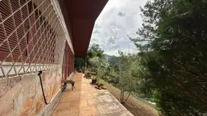 Imagem 4 - Terreno em Golfe, Teresópolis - RJ
