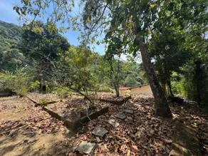 Imagem 3 - Terreno em Três Córregos, Teresópolis - RJ