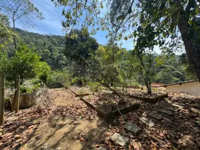 Imagem 4 - Terreno em Três Córregos, Teresópolis - RJ
