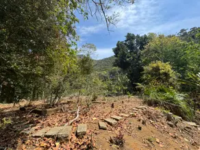 Imagem 5 - Terreno em Três Córregos, Teresópolis - RJ