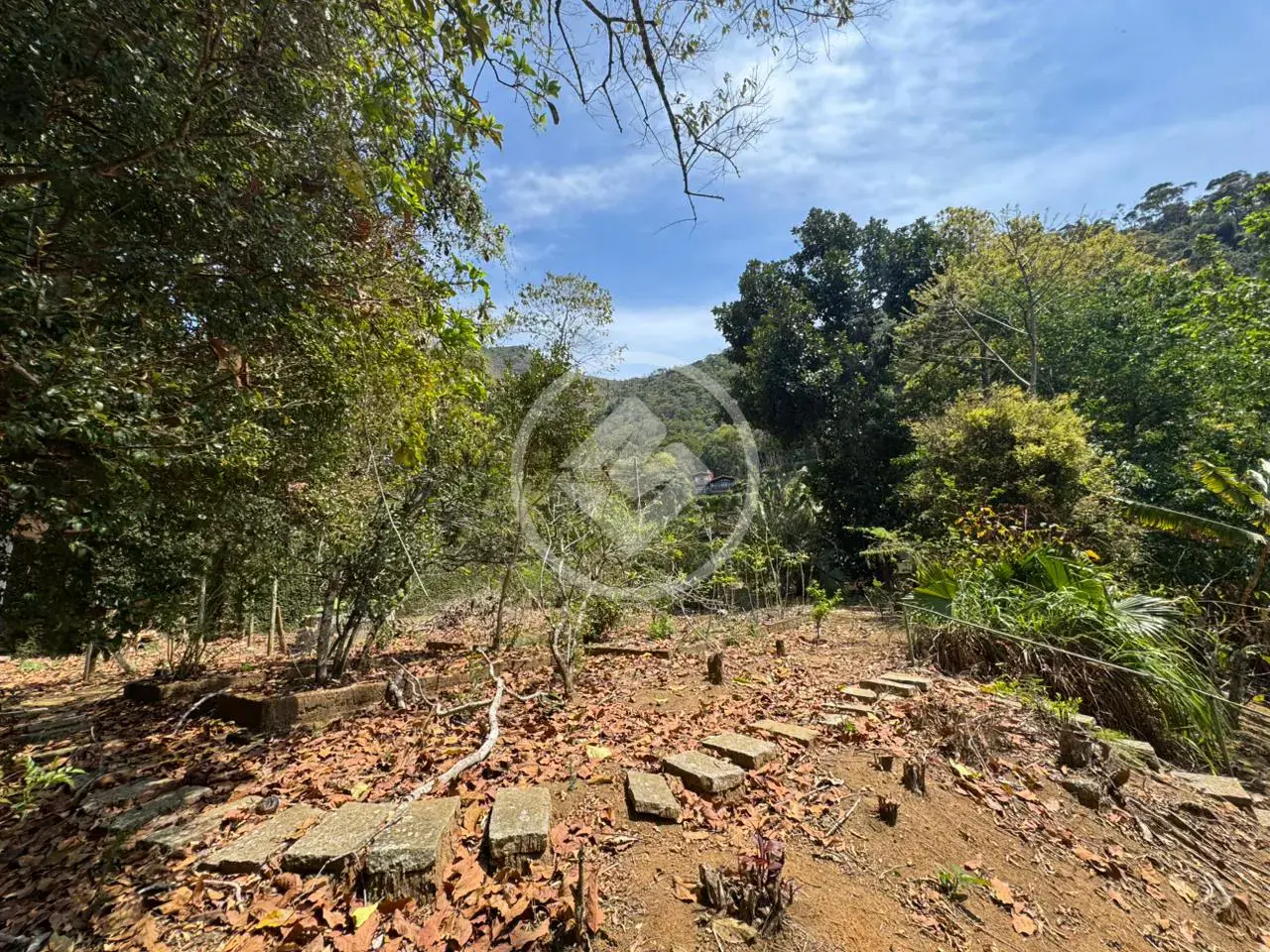 Imagem 5 - Terreno em Três Córregos, Teresópolis - RJ