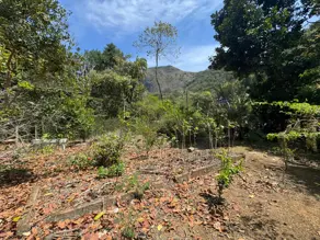 Terreno Três Córregos, Teresópolis - RJ — foto 1