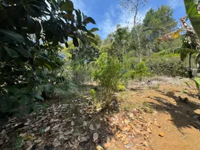 Imagem 6 - Terreno em Três Córregos, Teresópolis - RJ