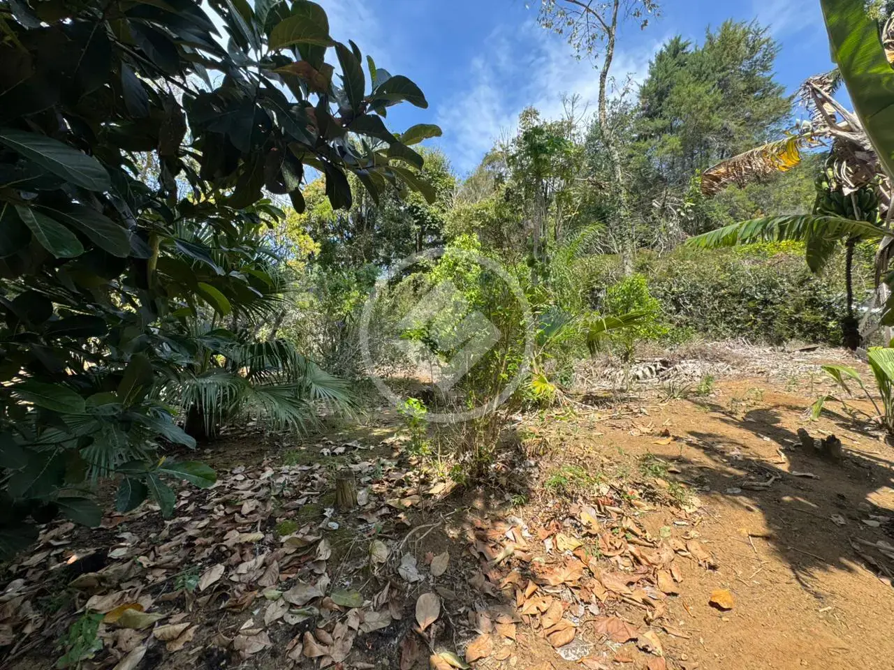 Imagem 6 - Terreno em Três Córregos, Teresópolis - RJ