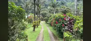 Imagem 6 - Sítio em Cantagalo, Guapimirim - RJ