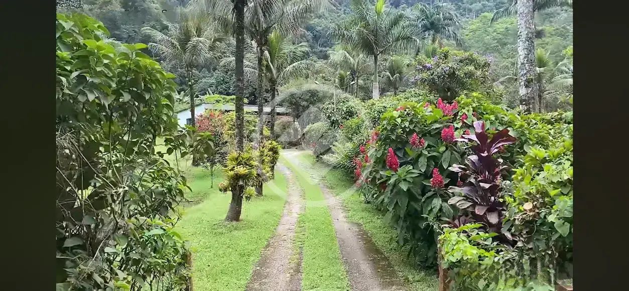 Imagem 6 - Sítio em Cantagalo, Guapimirim - RJ