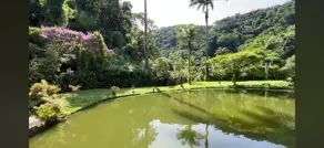 Imagem 4 - Sítio em Cantagalo, Guapimirim - RJ