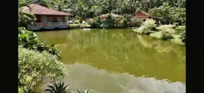 Imagem 5 - Sítio em Cantagalo, Guapimirim - RJ