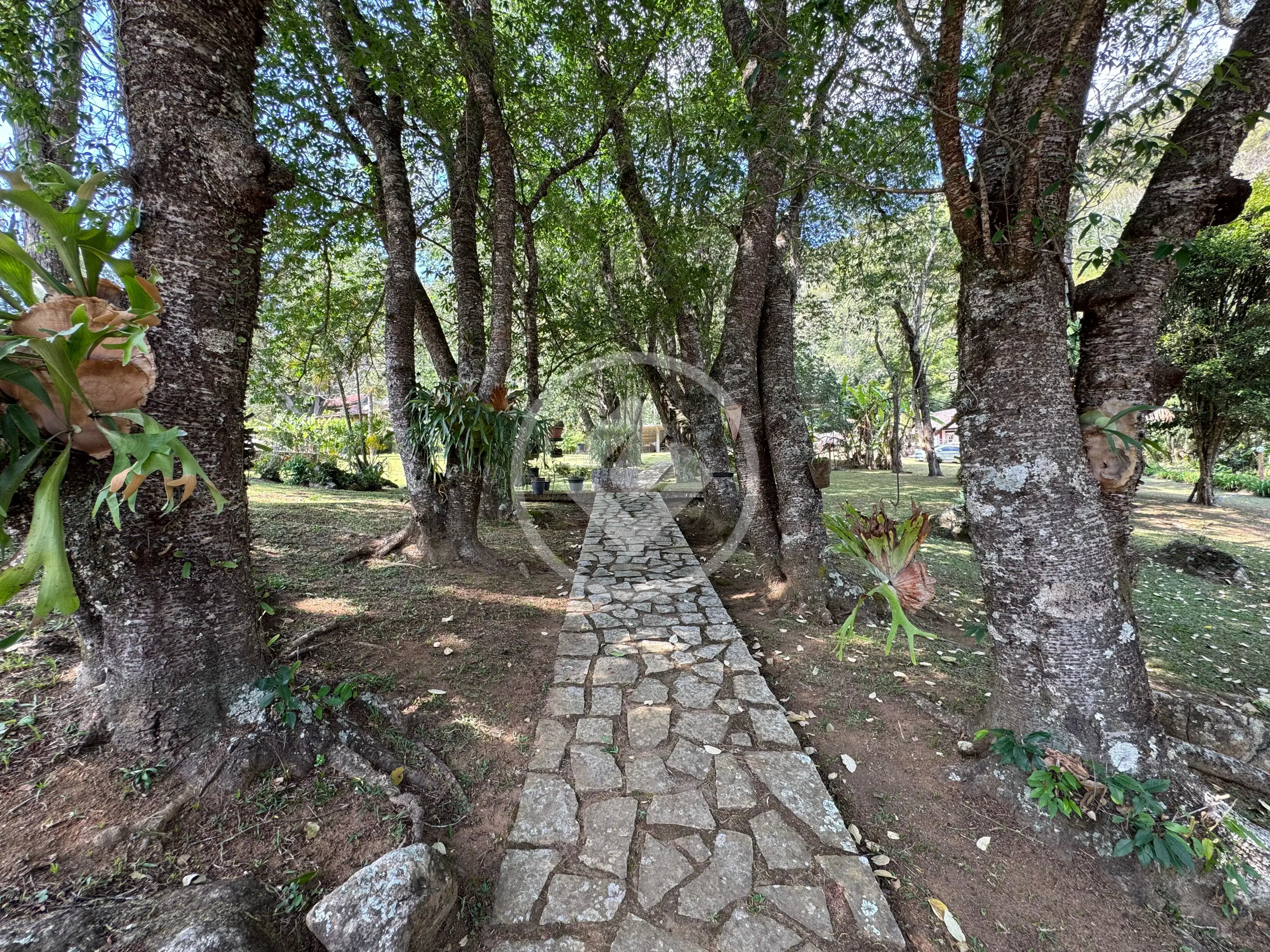 Imagem 3 - Sítio em Iucas, Teresópolis - RJ