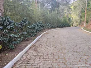 Imagem 3 - Terreno Condomínio em Prata, Teresópolis - RJ
