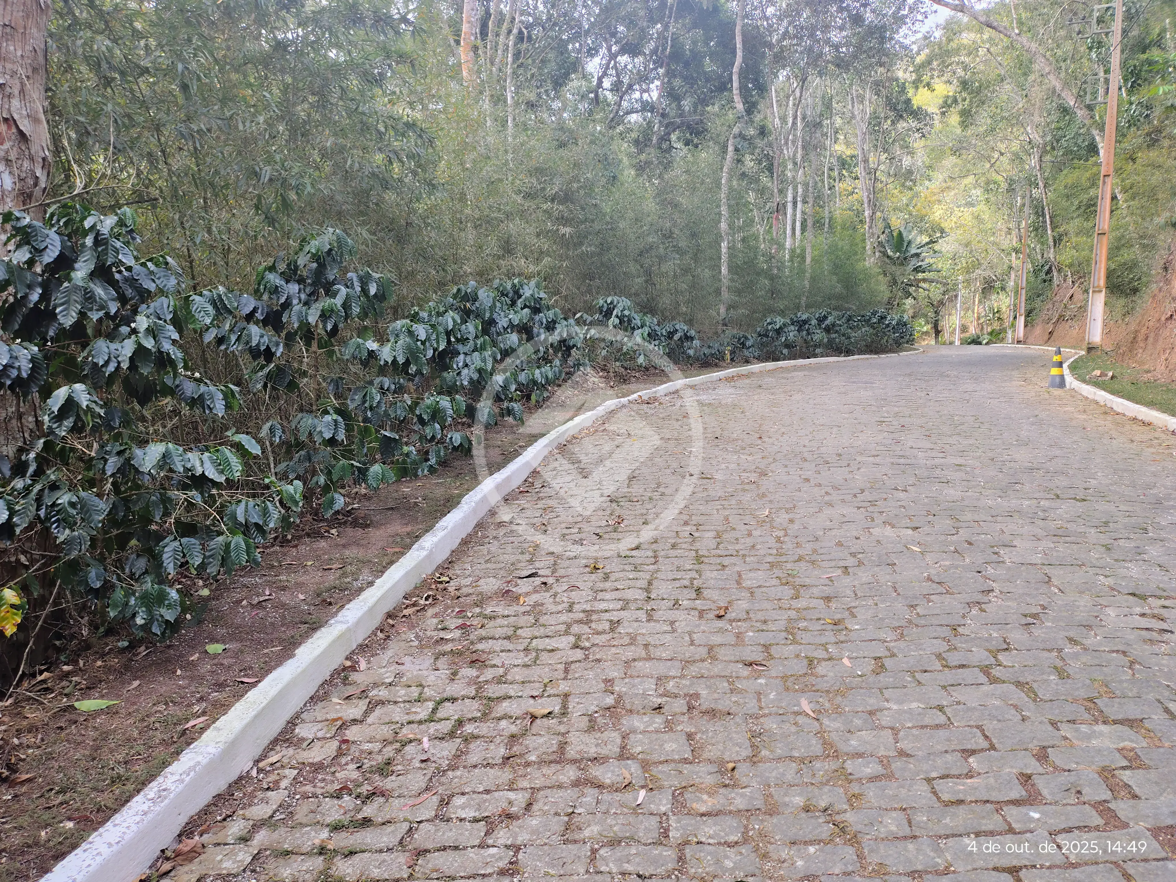 Imagem 3 - Terreno Condomínio em Prata, Teresópolis - RJ