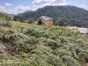 Imagem 4 - Terreno Condomínio em Albuquerque, Teresópolis - RJ