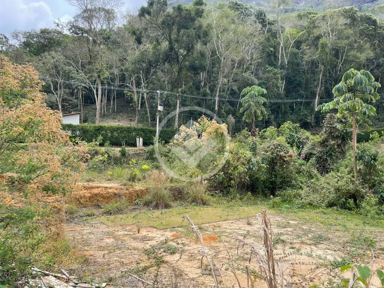 Imagem 1 - Terreno Condomínio em Três Córregos, Teresópolis - RJ