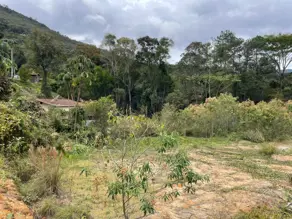 Terreno Condomínio Três Córregos, Teresópolis - RJ — foto 2