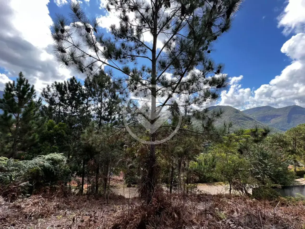 Image 18 - Terreno Condomínio em Green Valleiy, Teresópolis - RJ