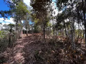 Terreno Condomínio Green Valleiy, Teresópolis - RJ — foto 2