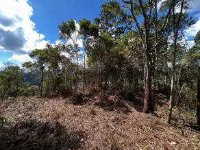 Imagem 2 - Terreno Condomínio em Green Valleiy, Teresópolis - RJ