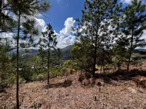 Terreno Condomínio Green Valleiy, Teresópolis - RJ — foto 1