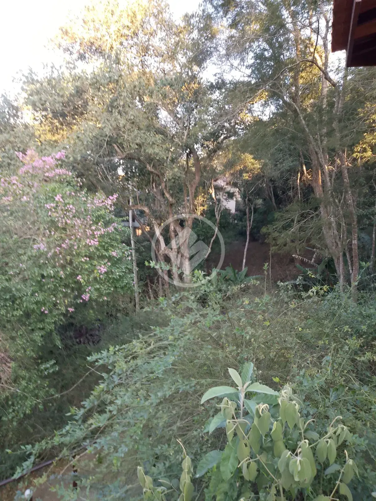 Imagem 2 - Terreno Condomínio em Albuquerque, Teresópolis - RJ