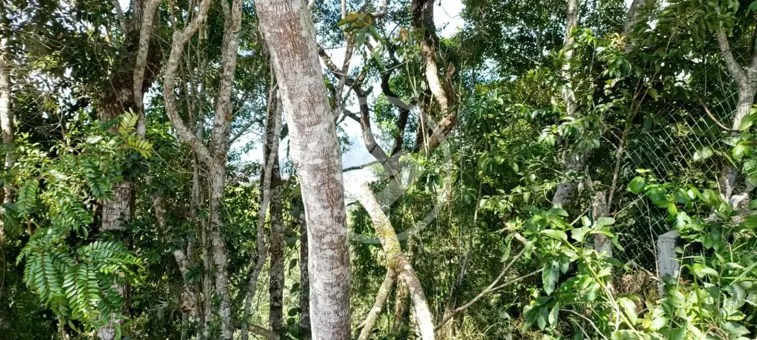 Image 10 - Terreno Condomínio em Tijuca, Teresópolis - RJ
