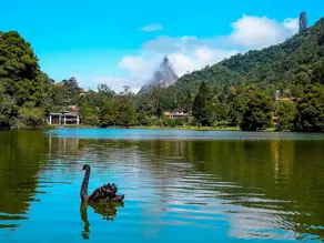Imagem 6 - Casa Comercial em Piabetá (Inhomirim), Magé - RJ