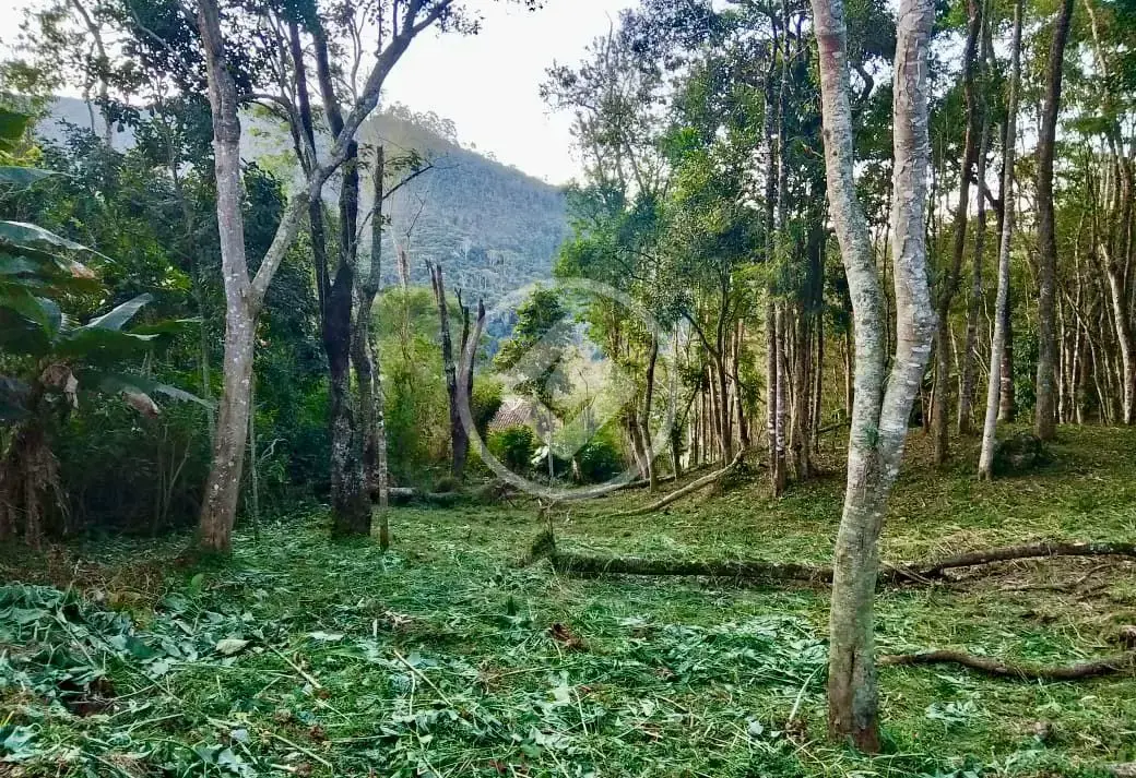 Imagem 4 - Terreno em Parque do Imbui, Teresópolis - RJ