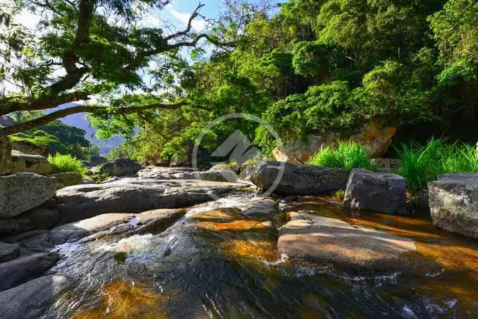 Image 31 - Cobertura em Alto, Teresópolis - RJ