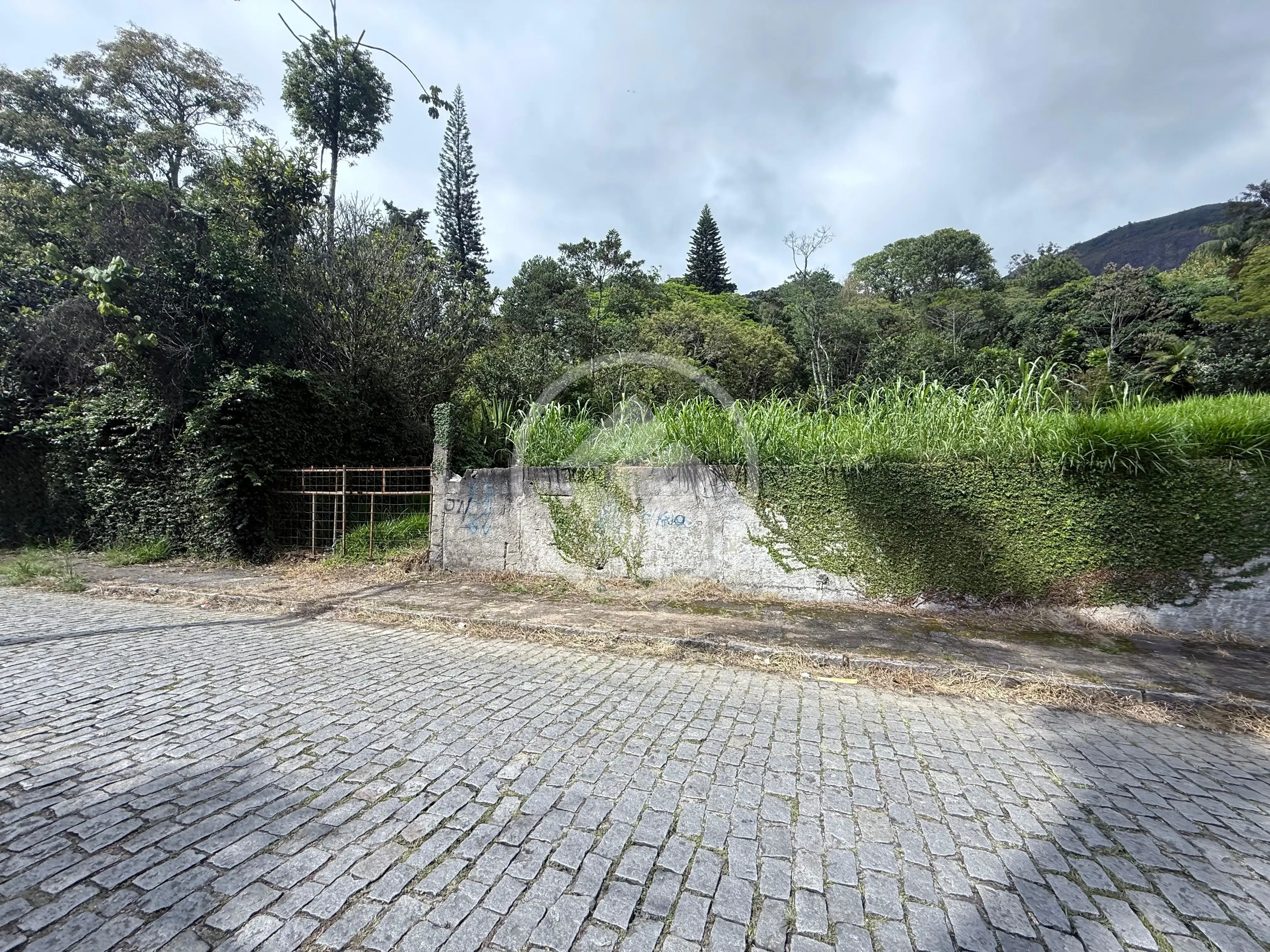 Imagem 6 - Terreno em Agriões, Teresópolis - RJ