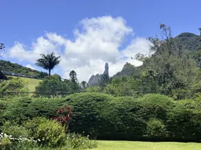 Imagem 3 - Terreno em Carlos Guinle, Teresópolis - RJ