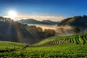 Imagem 5 - Terreno em Várzea, Teresópolis - RJ